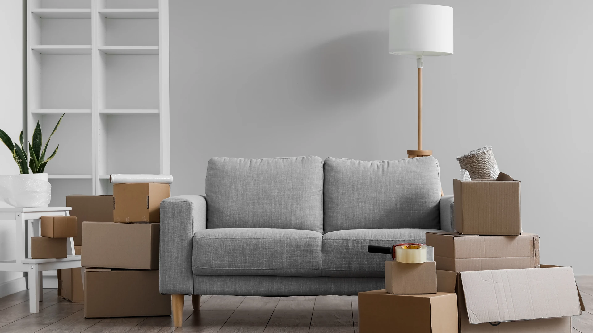Cardboard moving boxes and a tape dispenser stacked around a grey sofa in a living room with a floor lamp, white shelves and a potted plant